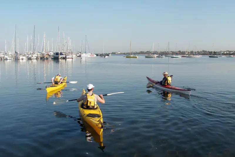 Paddlers in yellow kayaks on calm water off Sandringham, with yachts behind