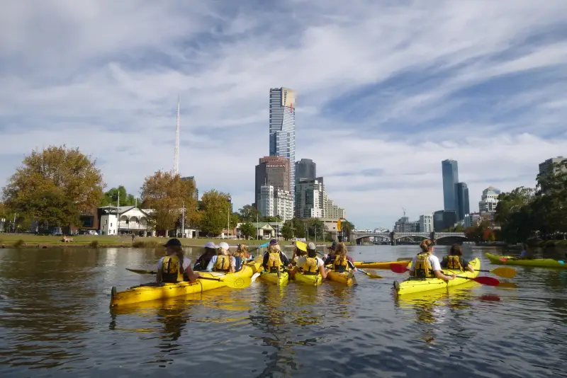 A group in yellow double kayaks on the Yarra with the Melbourne skyline behind