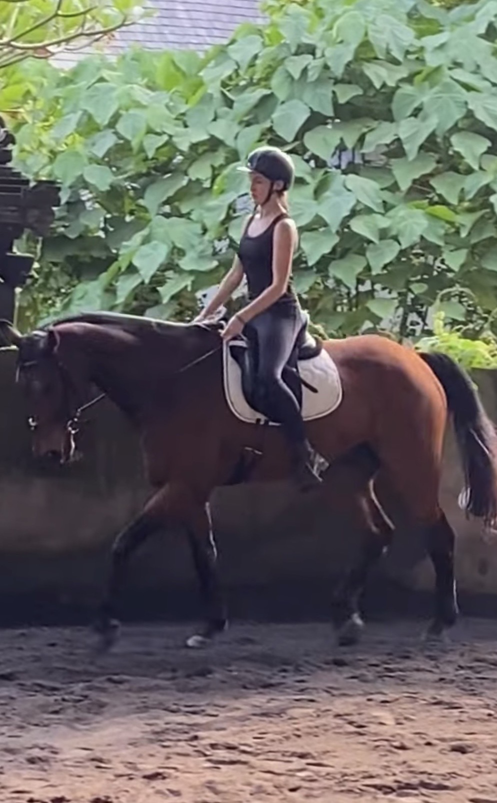 Rider and horse in a private dressage lesson in the arena