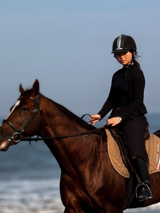 Horse and model on the beach at sunset
