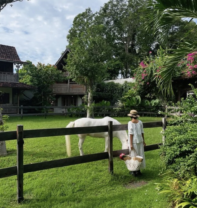 Paddock photoshoot backdrop with horses in the distance