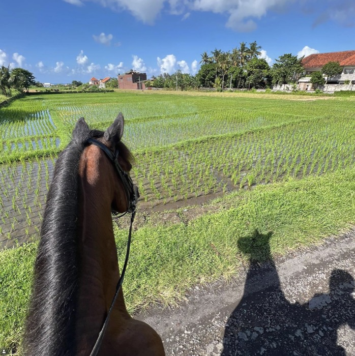 Rider leading a horse through the rice terraces