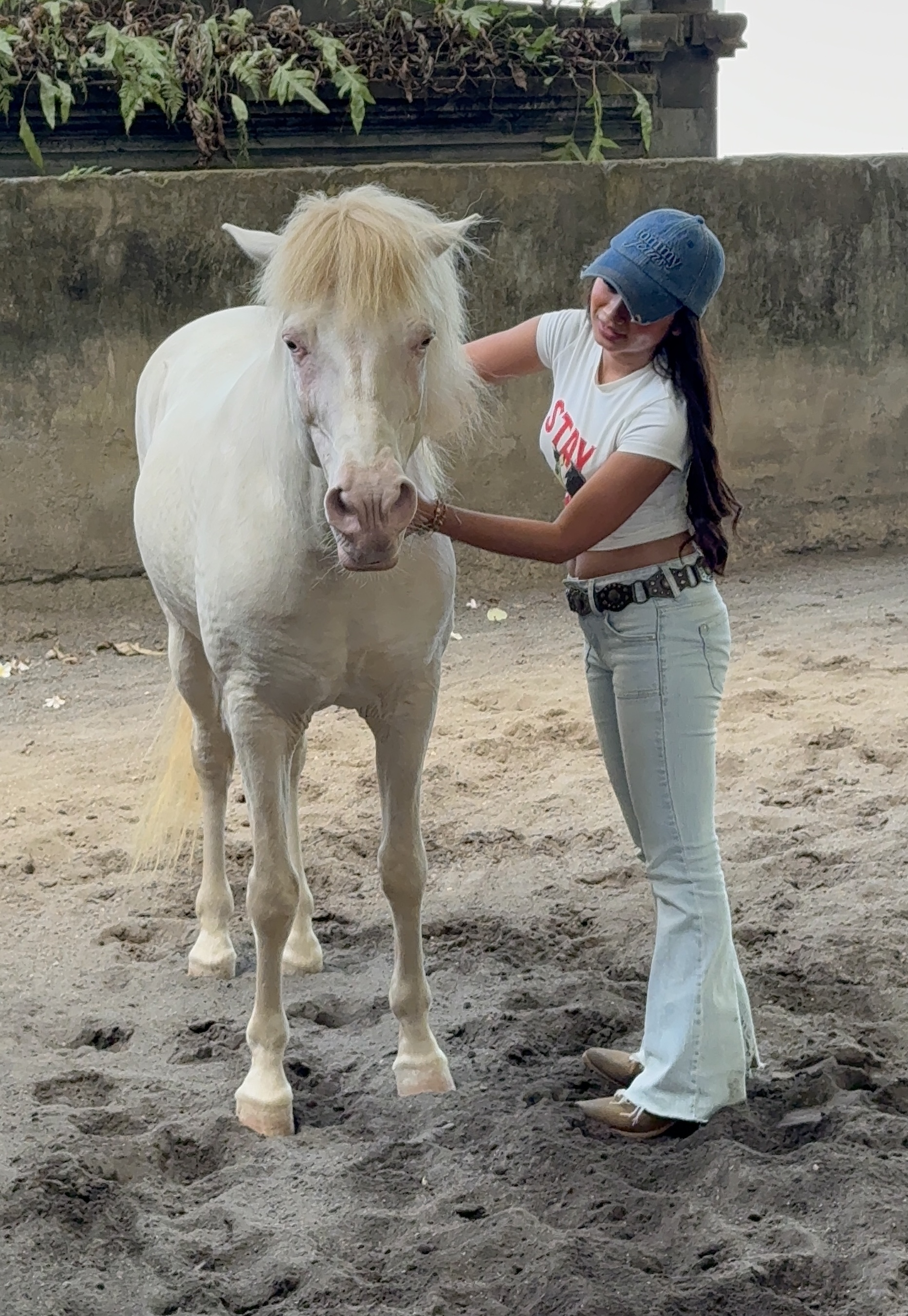 Horse Whisperer course participants working with a horse