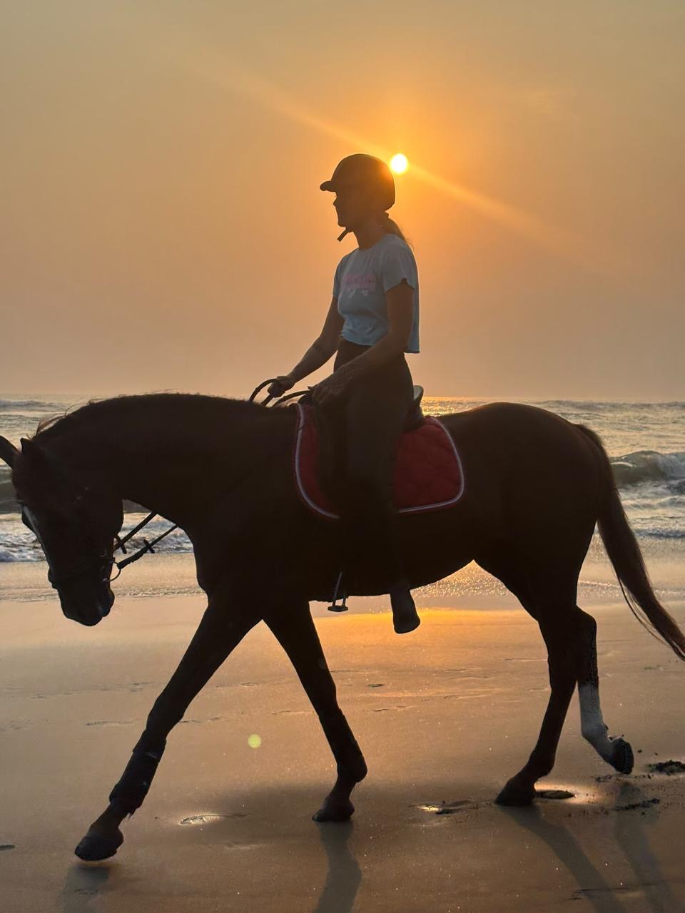 Rider on a horse pausing for a photo on the way to the beach