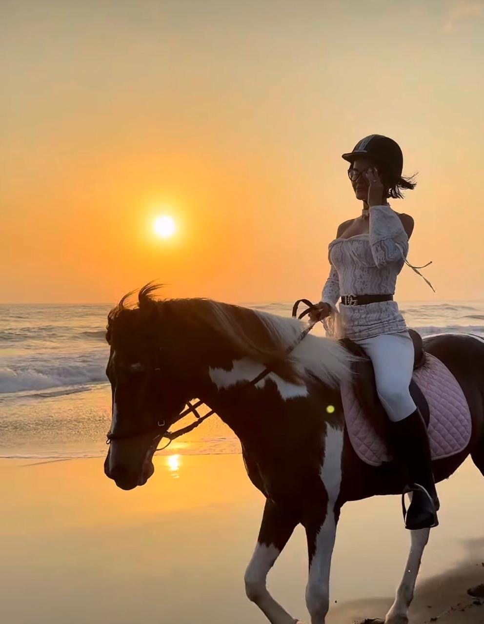 Groomed horse posed on the beach for a photoshoot